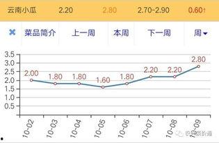 今日小瓜价格最新行情,最新行情解析与市场趋势洞察”