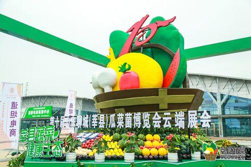 饶阳瓜菜今日价格表,新鲜蔬菜直降优惠