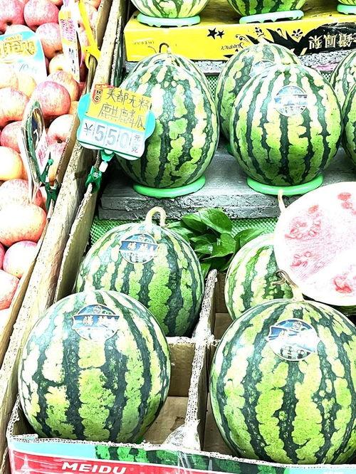 双福西瓜今日价格麒麟瓜,麒麟瓜价格走俏！”
