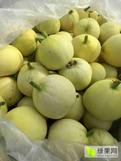 今日昌乐酉瓜价价格,今日行情一览